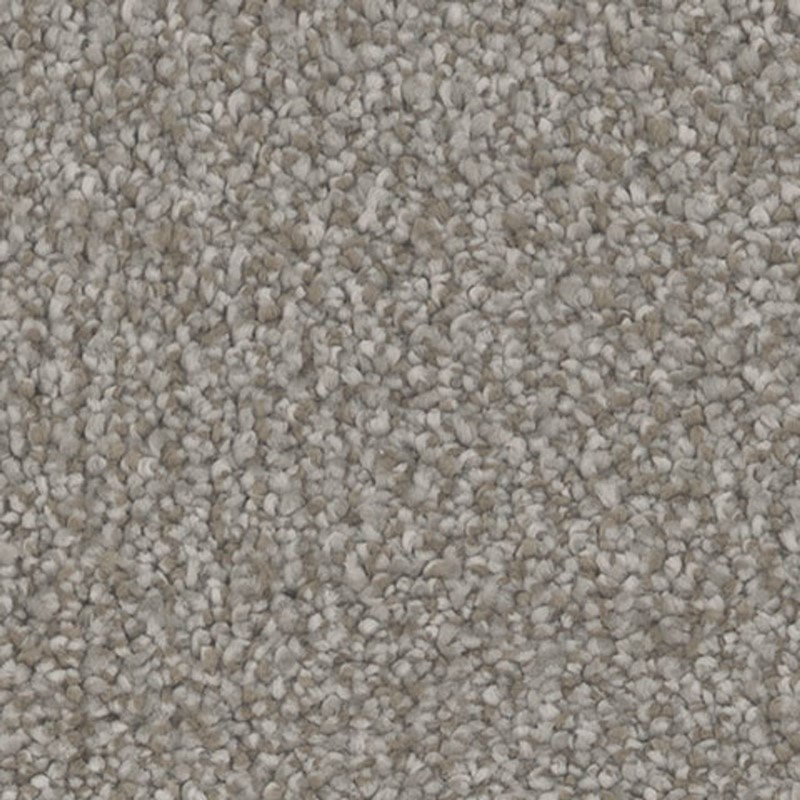 Tarkett Home Influence Enchant Carpet