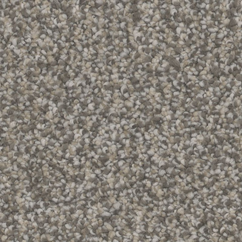 Tarkett Home Influence Overjoy Carpet