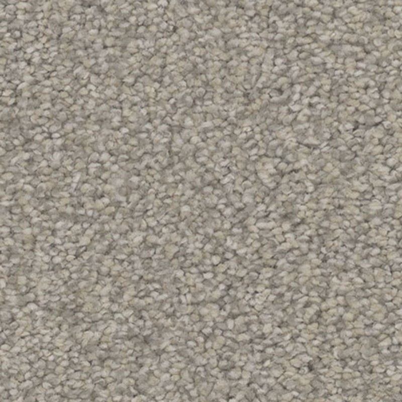 Tarkett Home Influence Rejoice Carpet