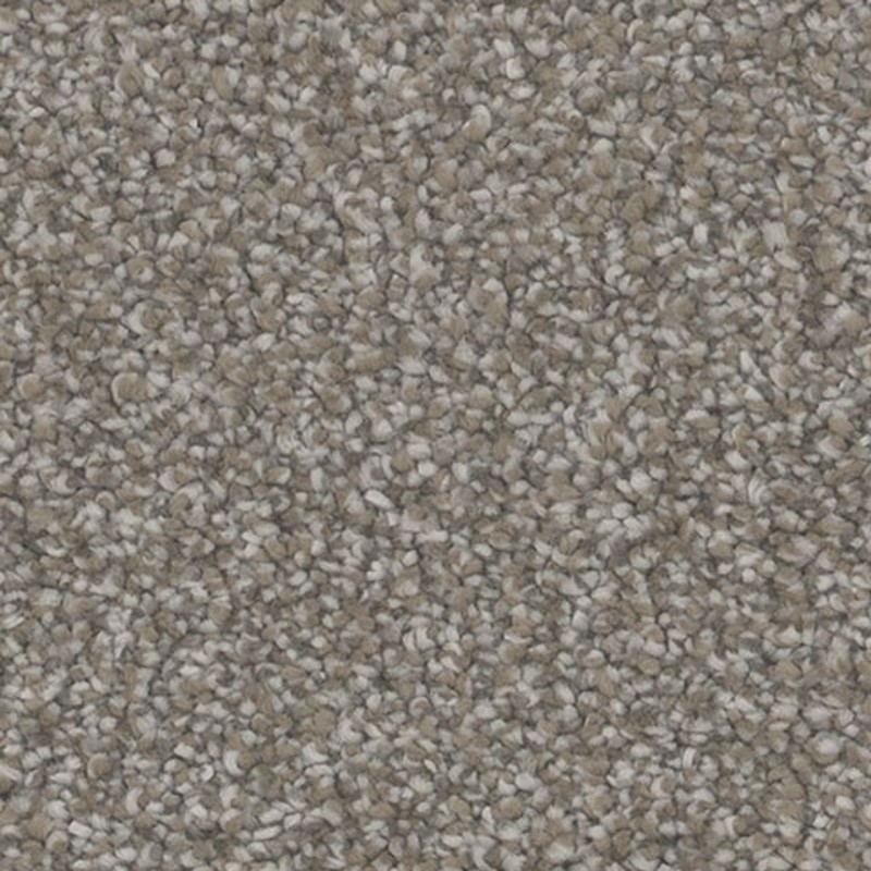 Tarkett Home Influence Tempt Carpet