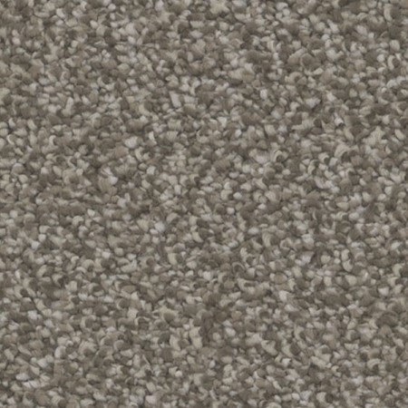 Tarkett Home Inspire Captivate Carpet