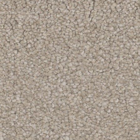 Tarkett Home Inspire Charm Carpet