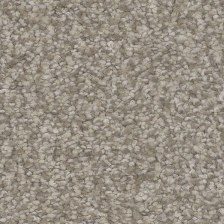 Tarkett Home Inspire Delight Carpet