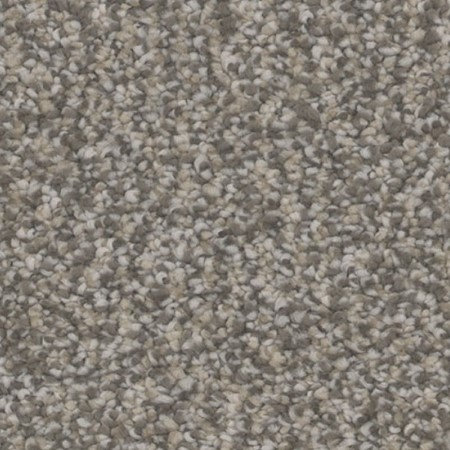 Tarkett Home Inspire Overjoy Carpet