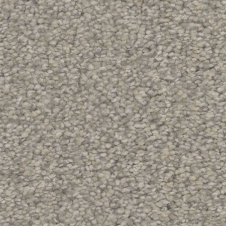 Tarkett Home Inspire Rejoice Carpet