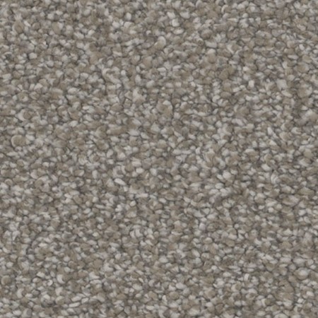 Tarkett Home Inspire Tempt Carpet