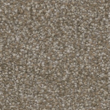 Tarkett Home Inspire Thrill Carpet