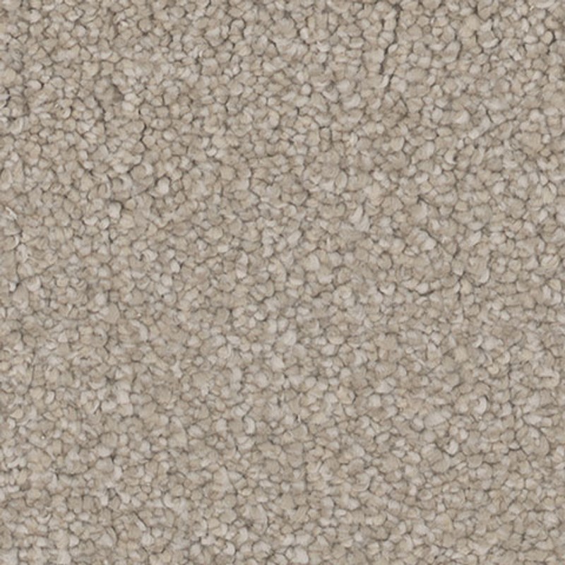 Tarkett Home Intrigue Charm Carpet