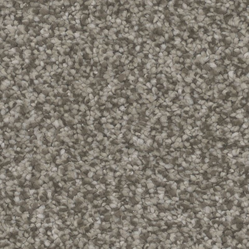 Tarkett Home Intrigue Conjure Carpet