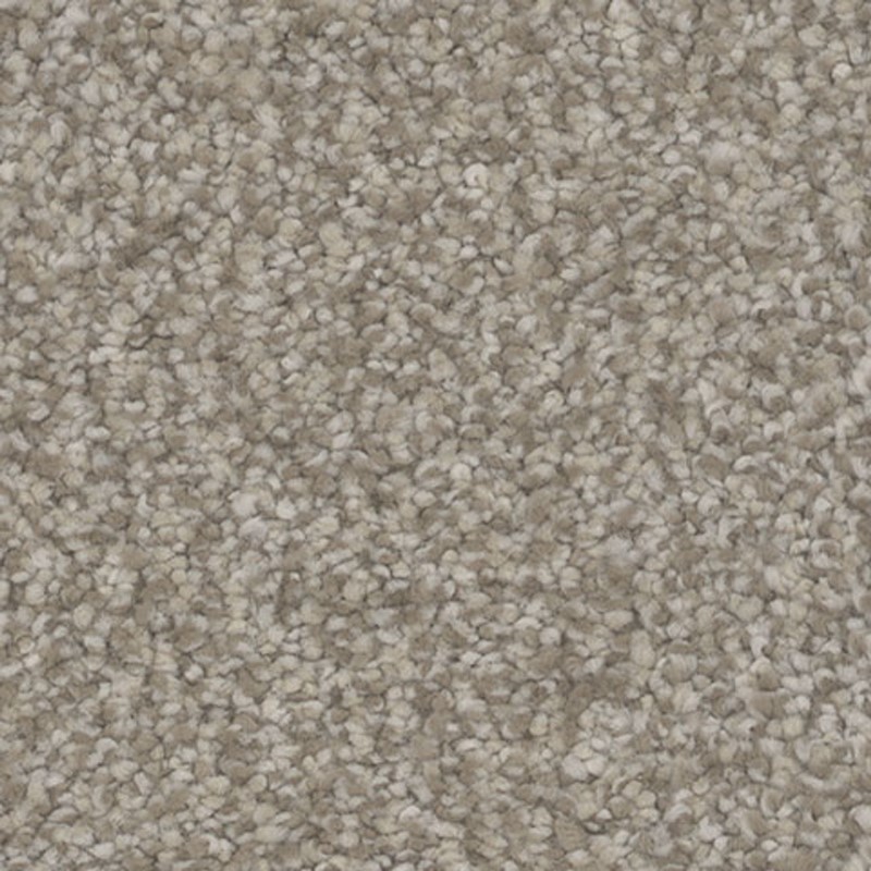 Tarkett Home Intrigue Delight Carpet