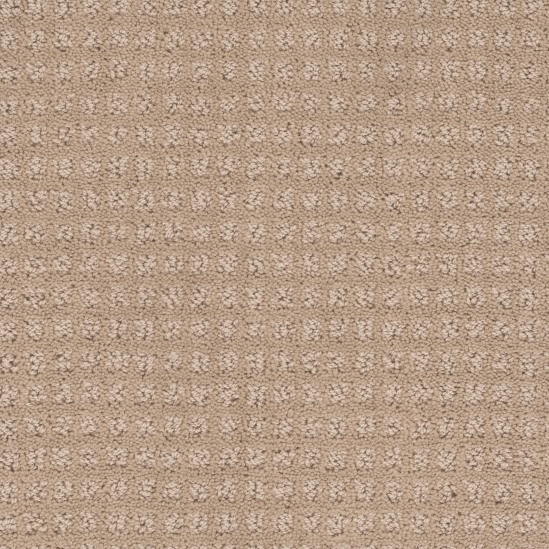 Tarkett Home Manhattan Antique Beige Carpet