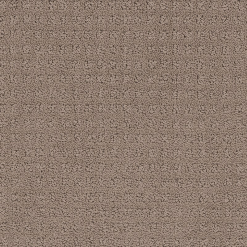 Tarkett Home Manhattan Flint Carpet