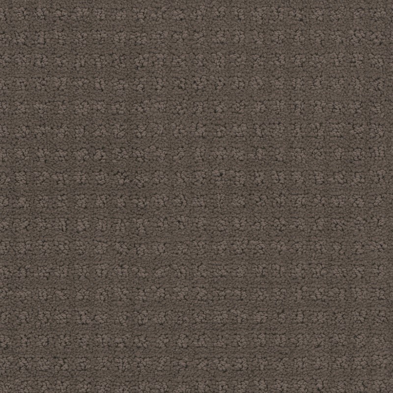 Tarkett Home Manhattan Iron Ore Carpet