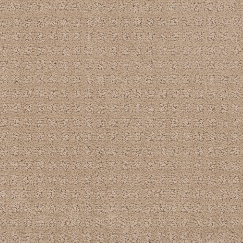 Tarkett Home Manhattan Light Dusk Carpet