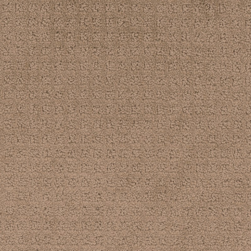 Tarkett Home Manhattan Neutrino Carpet