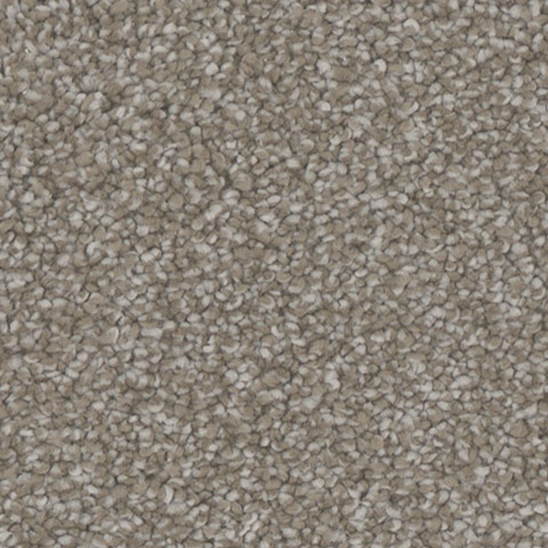 Tarkett Home Mesmerize Engage Carpet