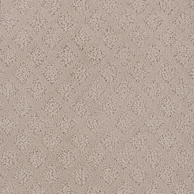 Tarkett Home Mont Blanc Weathered Carpet