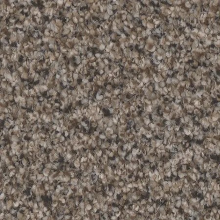 Tarkett Home Montecito Stately Carpet