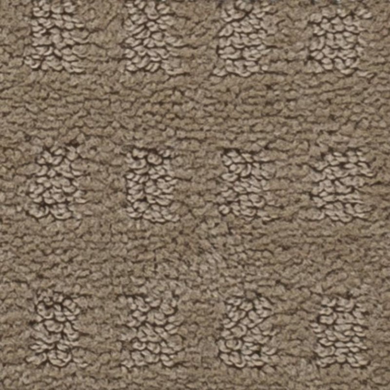 Tarkett Home Pacific Heights River Rock Carpet