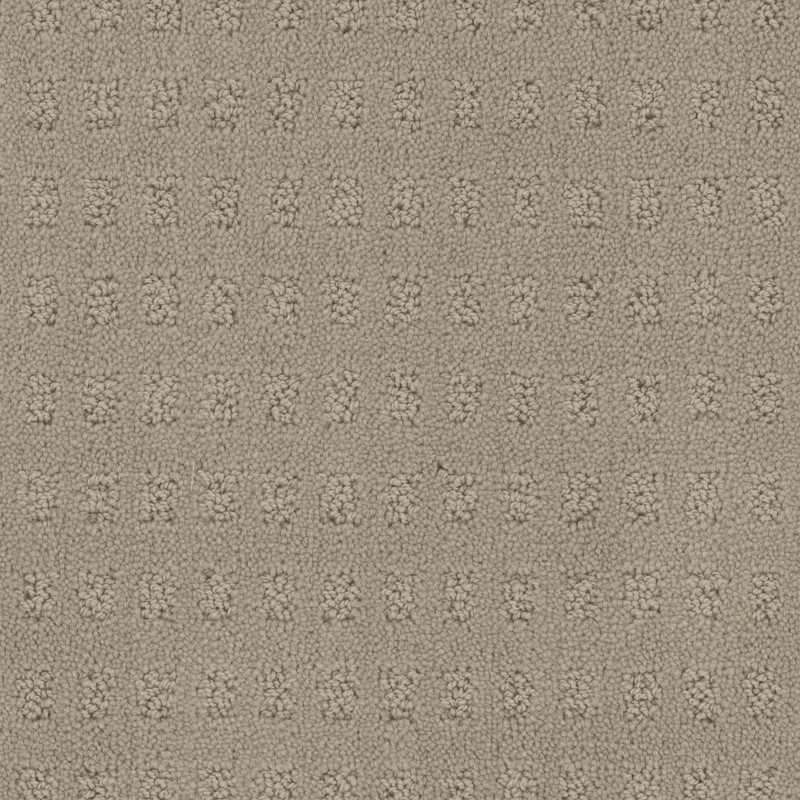 Tarkett Home Pacific Heights Weathered Carpet