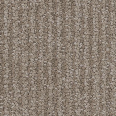 Tarkett Home Palisades Bungalow Carpet