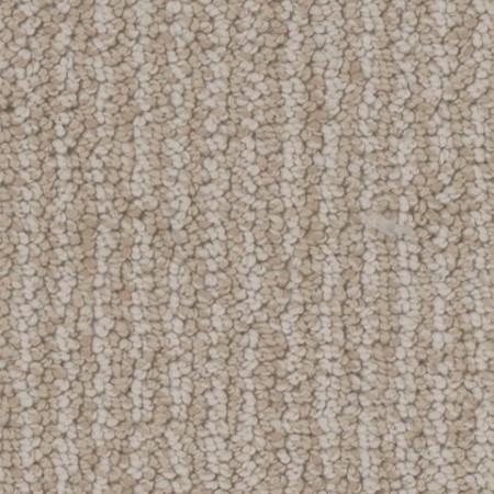 Tarkett Home Palisades Canyon Carpet