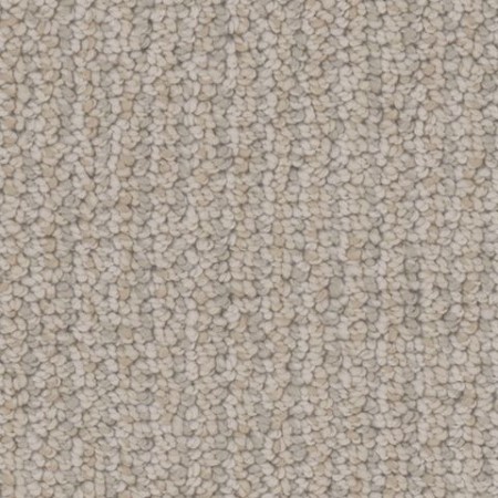 Tarkett Home Palisades Coastline Carpet