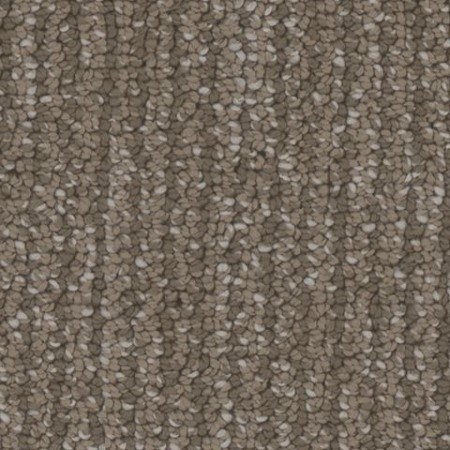 Tarkett Home Palisades Panoramic Carpet