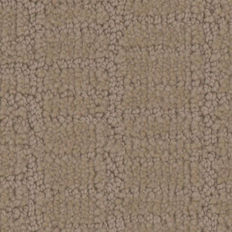 Tarkett Home Passageway Desert Carpet