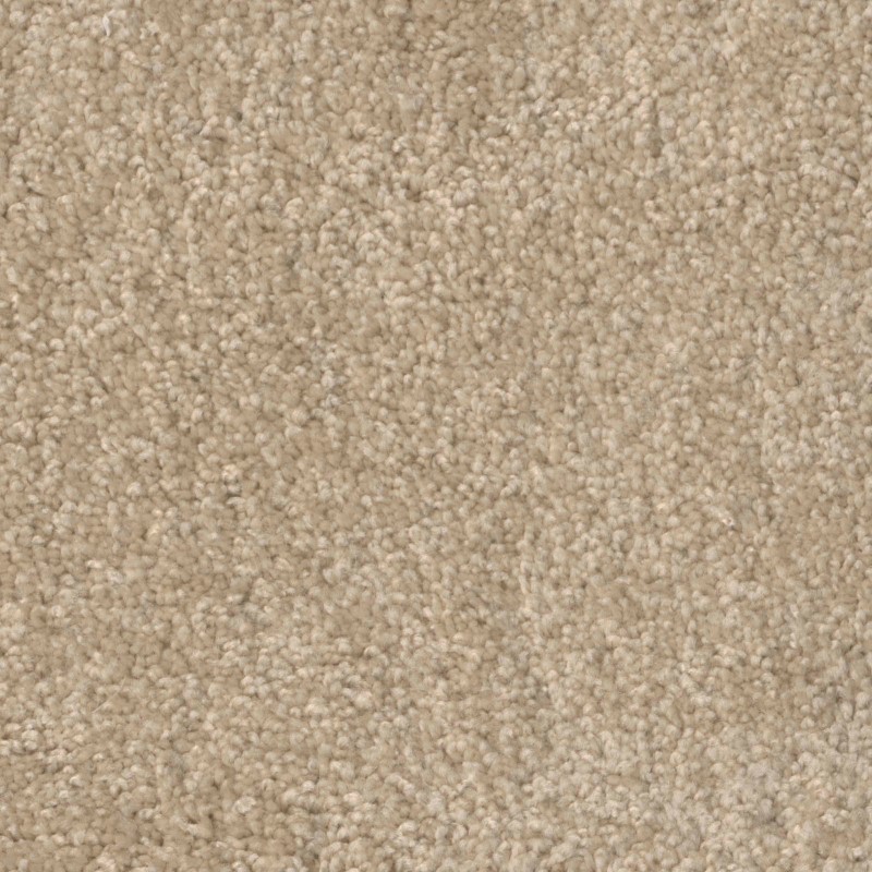 Tarkett Home Pinnacle Antique Beige Carpet