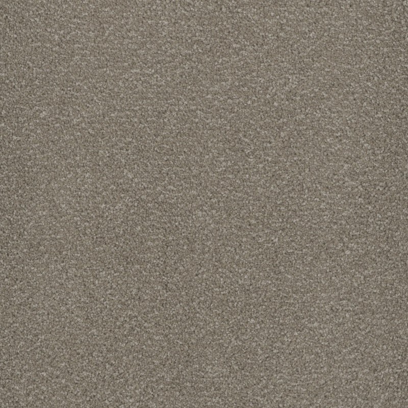 Tarkett Home Pinnacle Dove Carpet