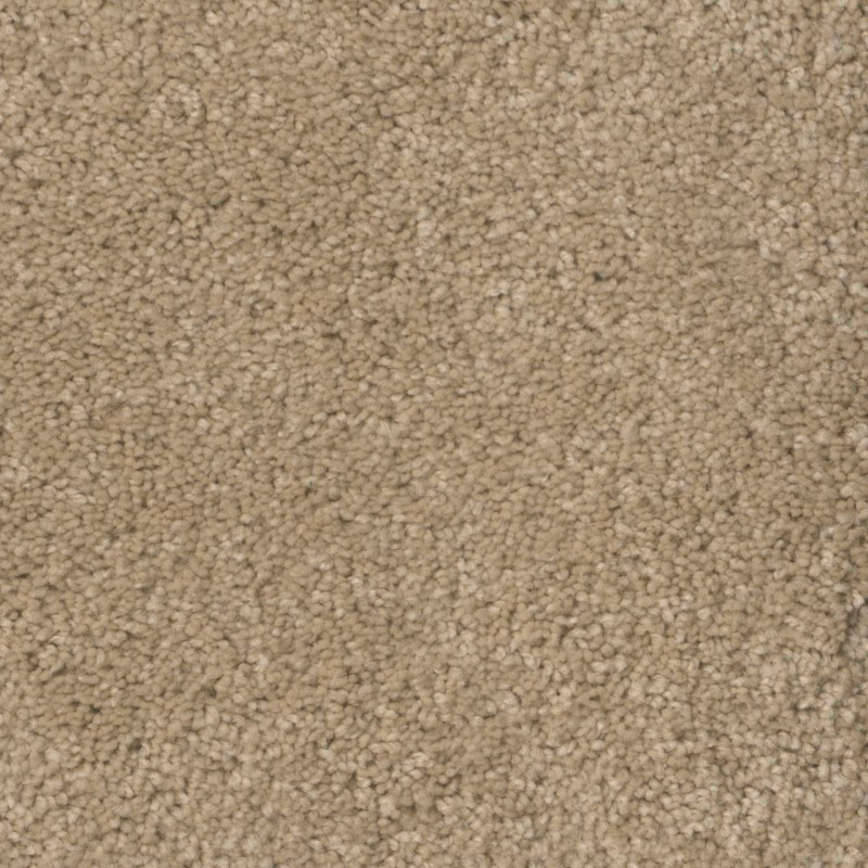 Tarkett Home Pinnacle Light Dusk Carpet