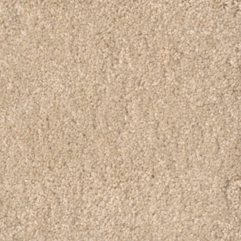 Tarkett Home Pinnacle Seashell Carpet