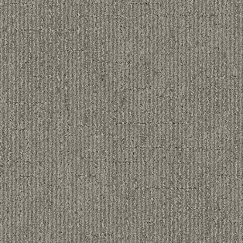 Tarkett Home Pleasantries Abalone Carpet