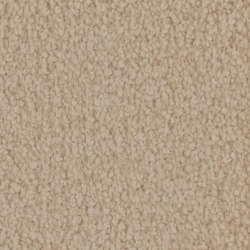 Tarkett Home Providence Bungalow Carpet