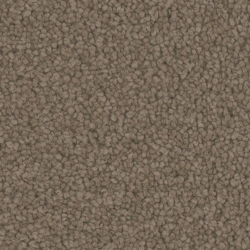 Tarkett Home Providence Cobblestone Carpet