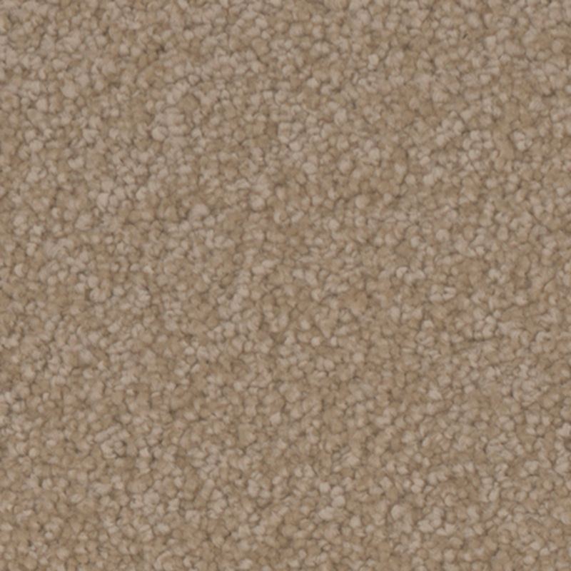 Tarkett Home Providence Countryside Carpet