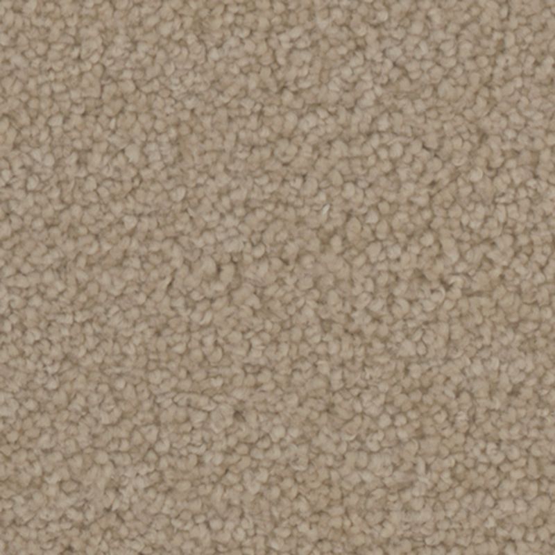 Tarkett Home Providence Grove Carpet