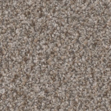 Tarkett Home Riviera Chic Carpet