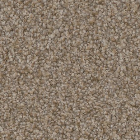 Tarkett Home Riviera Lavish Carpet