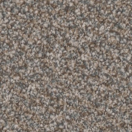 Tarkett Home Riviera Luxury Carpet