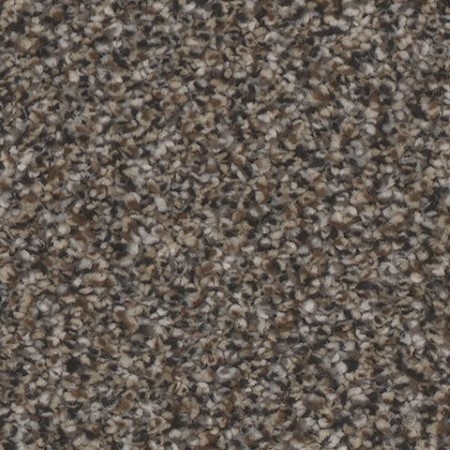 Tarkett Home Riviera Ritzy Carpet