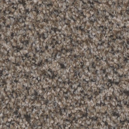 Tarkett Home Riviera Stately Carpet