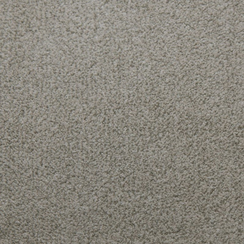 Tarkett Home Soft Spoken Assurance Carpet