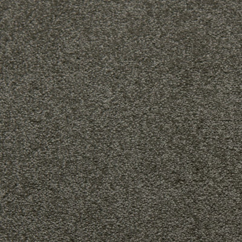 Tarkett Home Soft Spoken Platinum Carpet