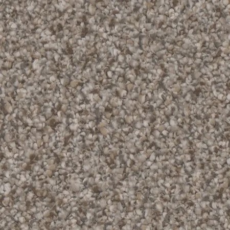 Tarkett Home Summerland Chic Carpet