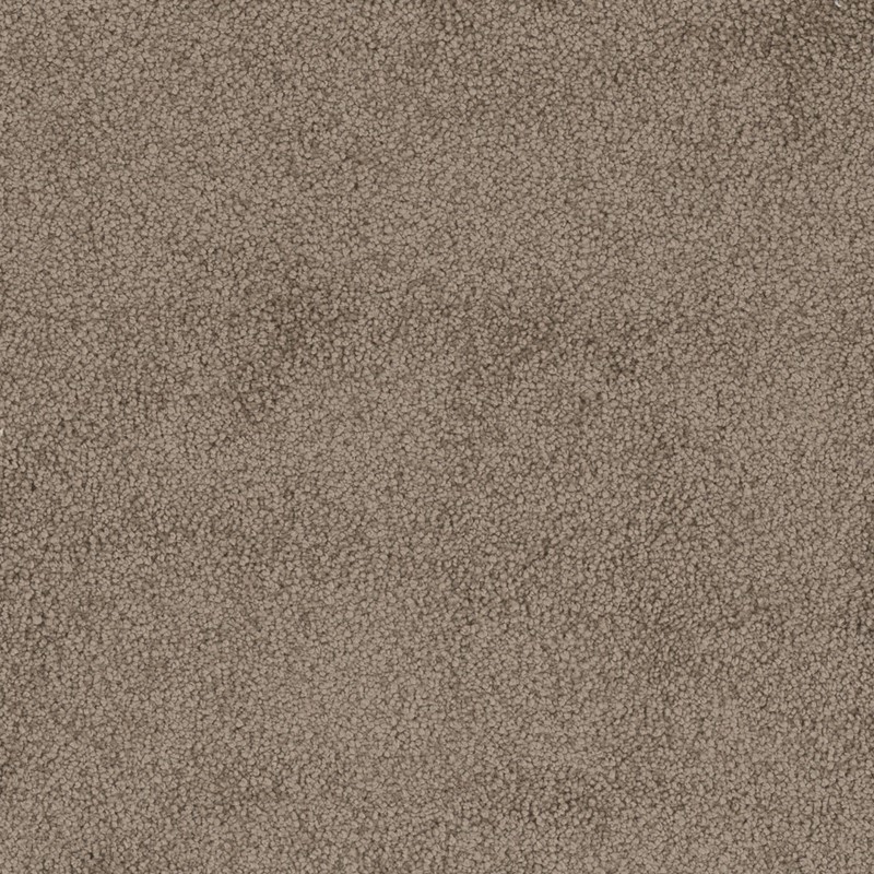 Tarkett Home Tender Buff Carpet