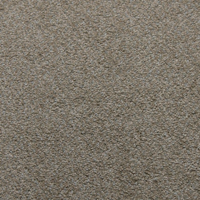 Tarkett Home Tender Glisten Carpet