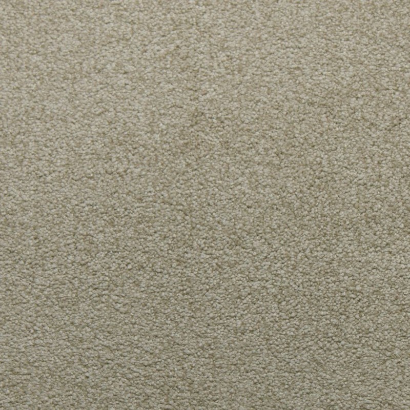 Tarkett Home Tender Peace Carpet