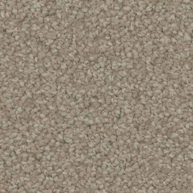 Tarkett Home TH913 Appeal Carpet